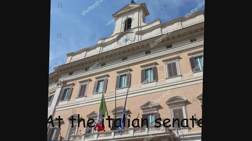 Tifa Lockhart at the Italian Senate [Final Fantasy] (fatcat17)