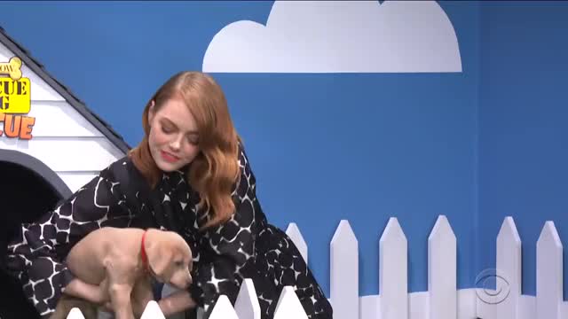 The Late Show 'Rescue Dog Rescue' With Emma Stone