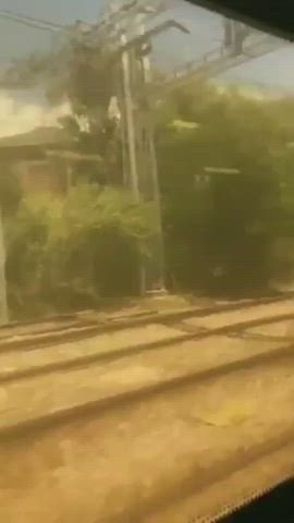 Train Blowjob