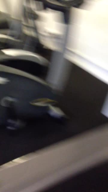 Getting his cock out in the Gym