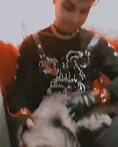 Catsuit Cuddle Cute clip