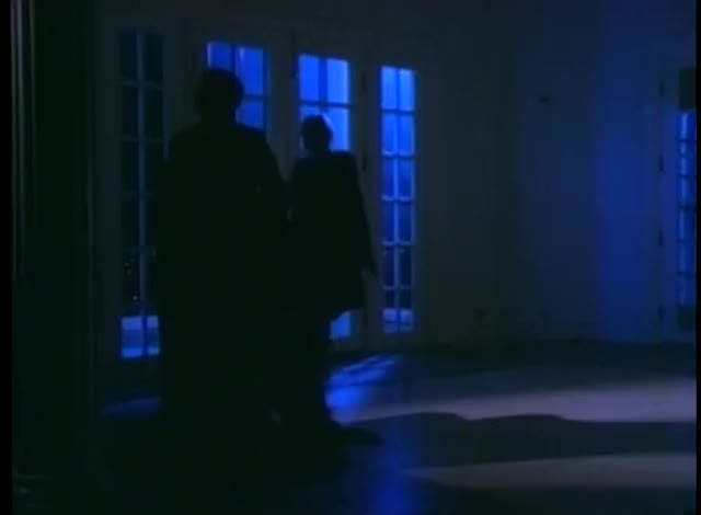Julie K. Smith stripteases in moonlight - Midnight Tease II (1995)