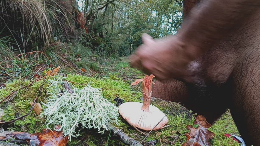 Rubbing fresh moss and cumming