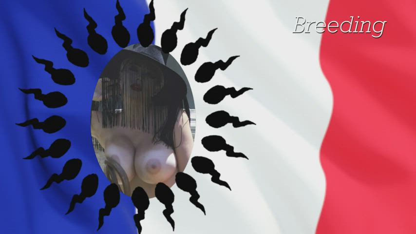 BBC Blowjob Breeding Creampie Cumshot French Hands Free Interracial Swingers clip