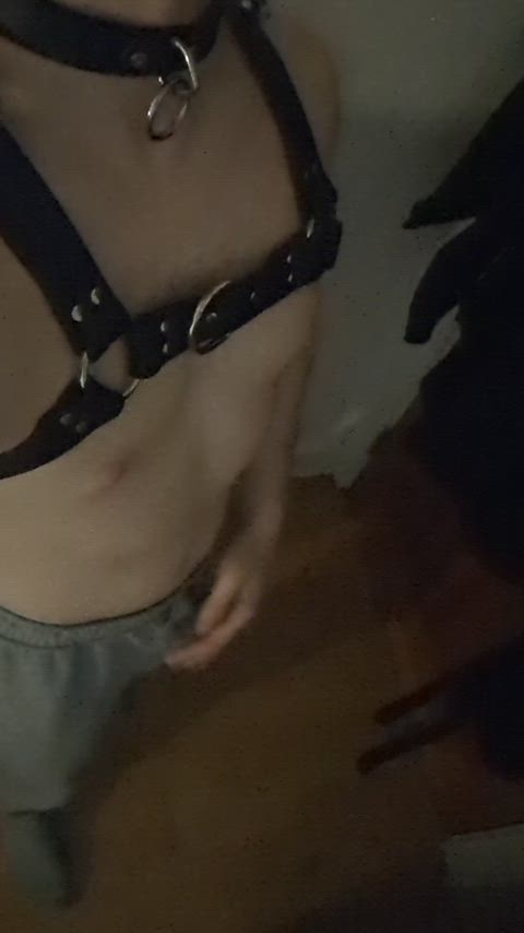First harness, is this much give normal?
