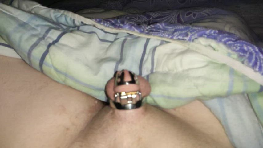 bdsm chastity micropenis clip