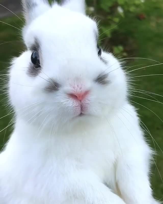 ?: I had another staring contest with mom, guess who won again? ??- Follow me @bennymcbun