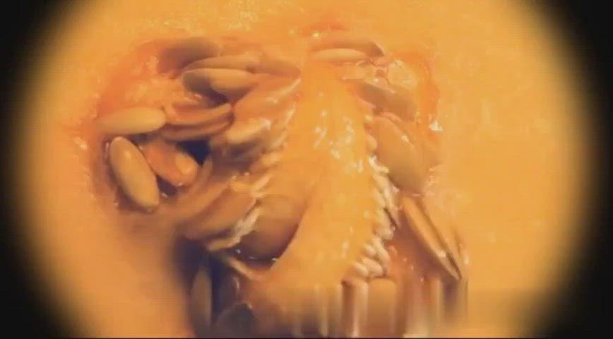 amateur bizarre close up cumshot food fetish funny porn male masturbation object