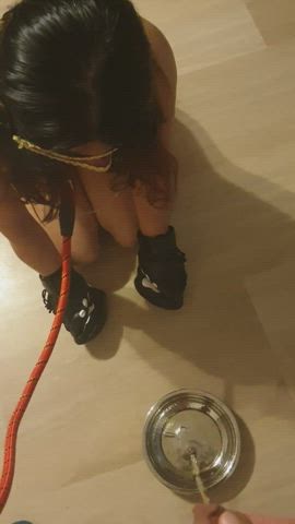 dogging humiliation pee clip