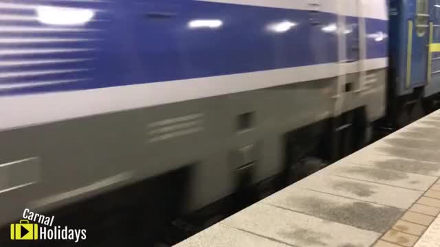Fucking on the Train to Ukraine [OC] [GIF]