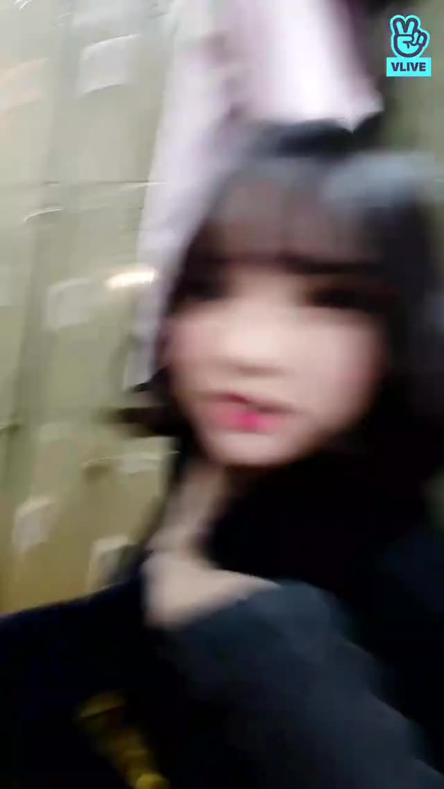 [V LIVE] 평창친구?