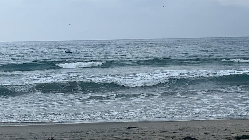 Blacks Beach Yesterday, July 23, 2023