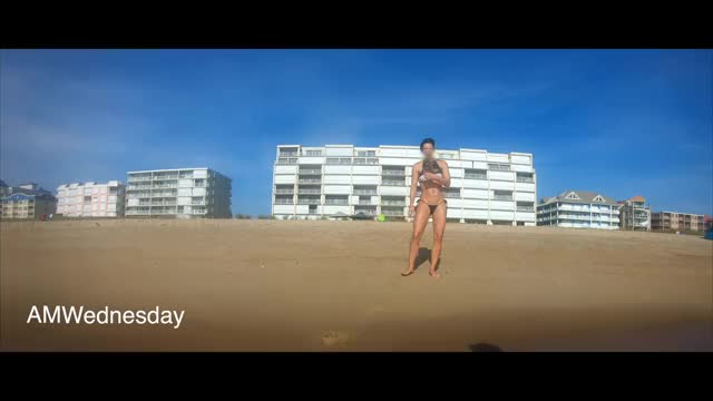 Beach Bikini Public clip