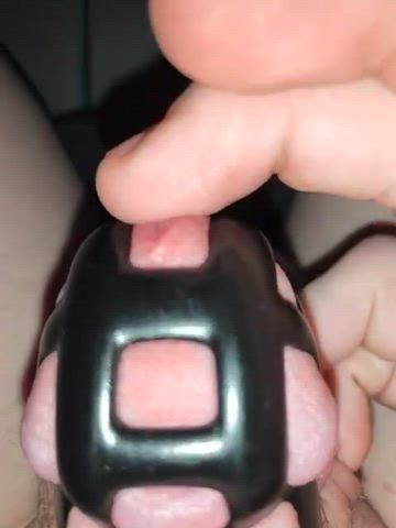 Mistress made me start the morning with an hour of porn, I was leaking so much! This