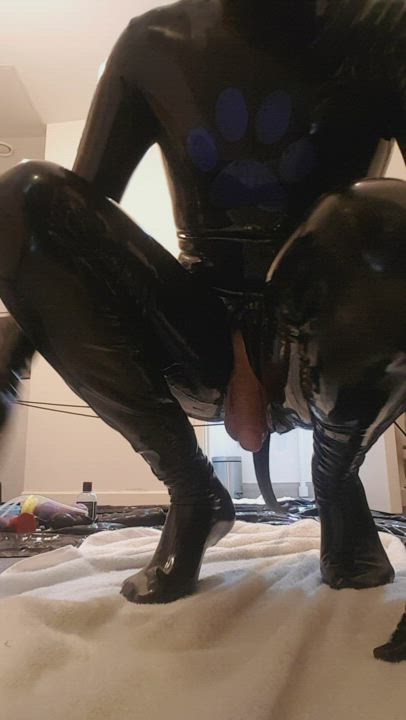 Gay Puppy Sub clip