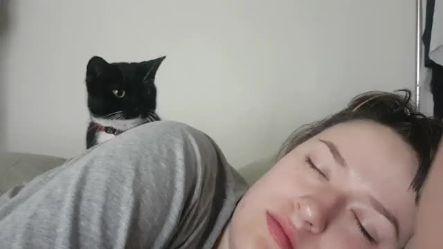 ripsave - Every morning my wife and I get booped awake - c7f832ba29c47777d54521b554cb8e4b