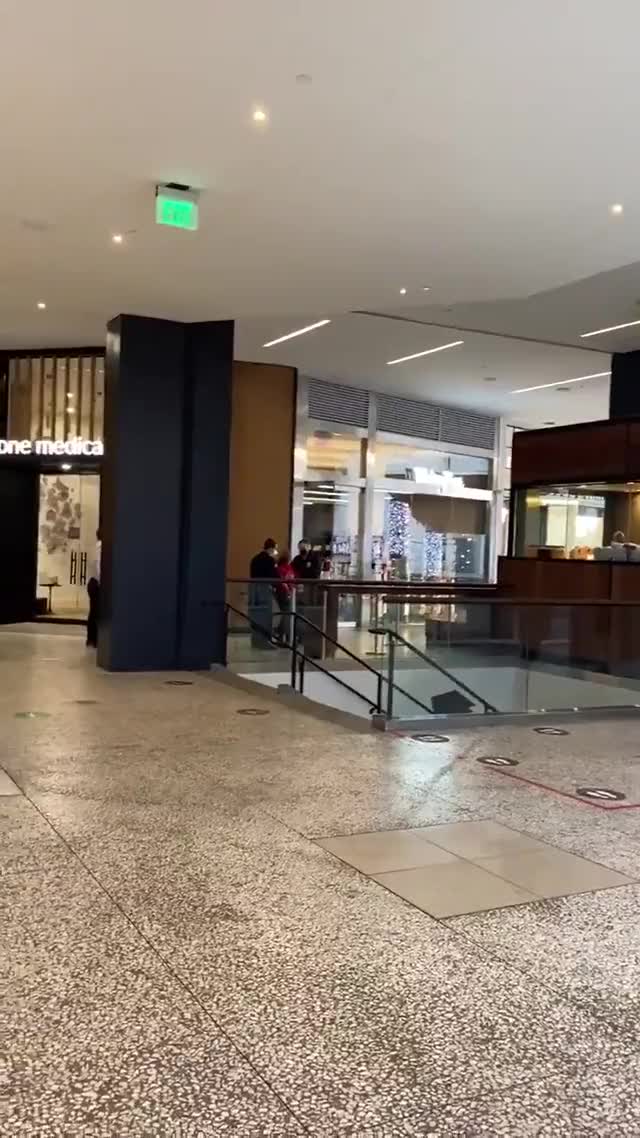 Mall Arrest