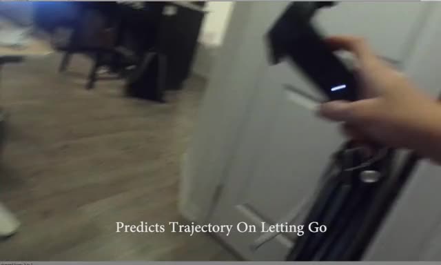 AR Physics Predicting