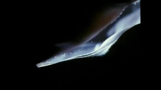 Vanessa Angel - Killer Instinct (aka Homicidal Impulse) (1991) - sex scene 2- clips
