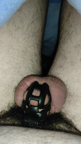 chastity puppy slave clip