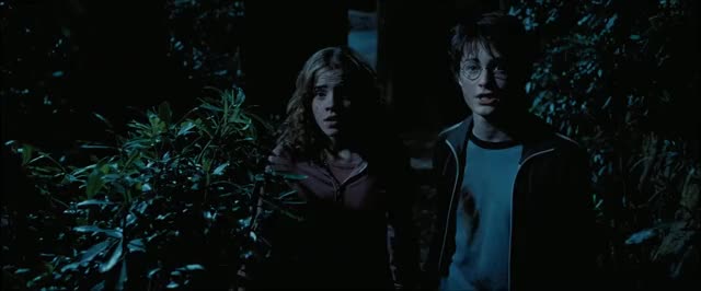 and the prisoner of azkaban daniel radcliffe emma watson harry potter hermione clip