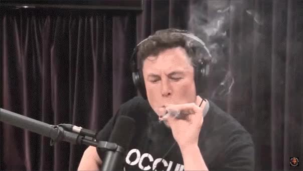 Elon Musk Tries Cannabis