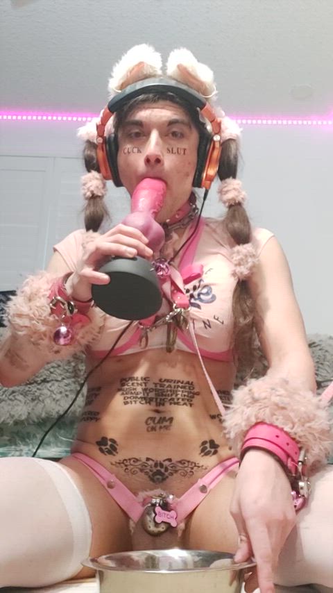 ass to mouth bad dragon humiliation knot licking petplay puppy sissy trans dirty