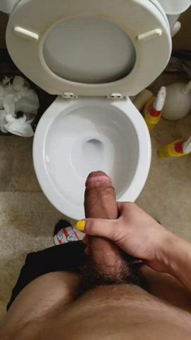 big dick pee toilet clip