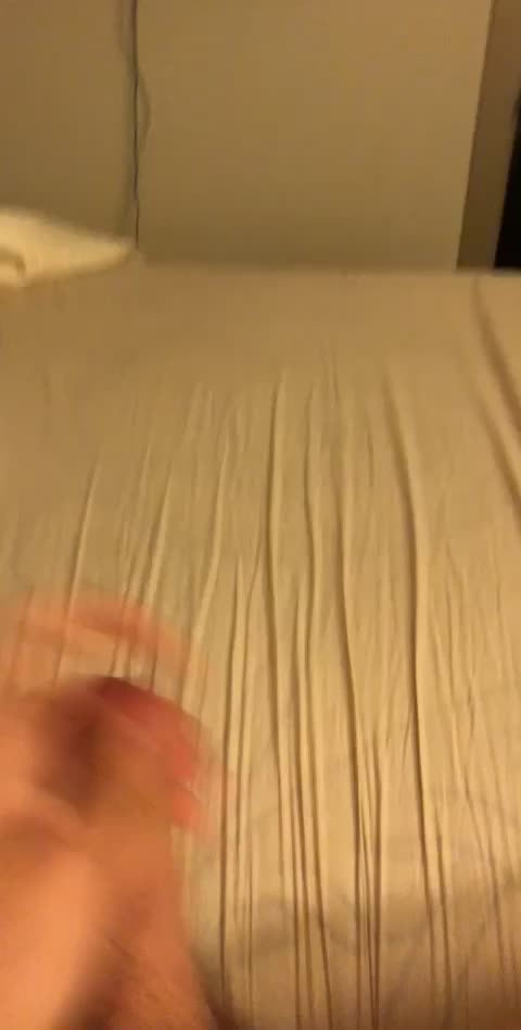 Austin sprays bed