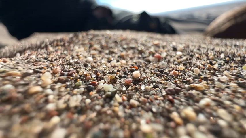 POV: You are saved by a gentle, desert goddess who definitely isn't going to eat