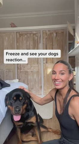 brunette doggystyle latina clip