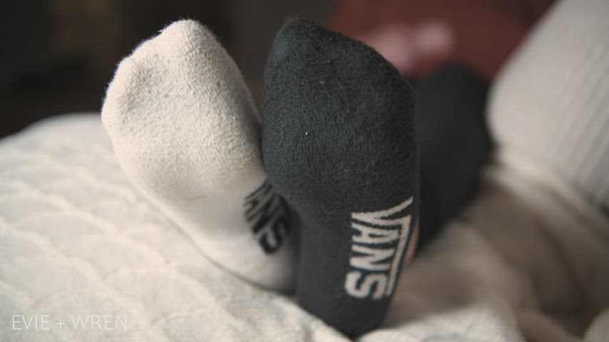 who else loves Van's socks? 😍