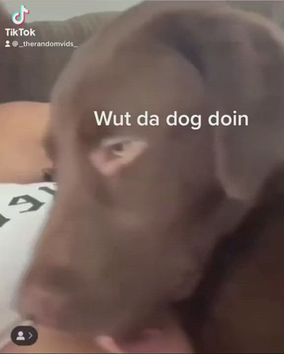 Breast Sucking Dogging Doggystyle clip