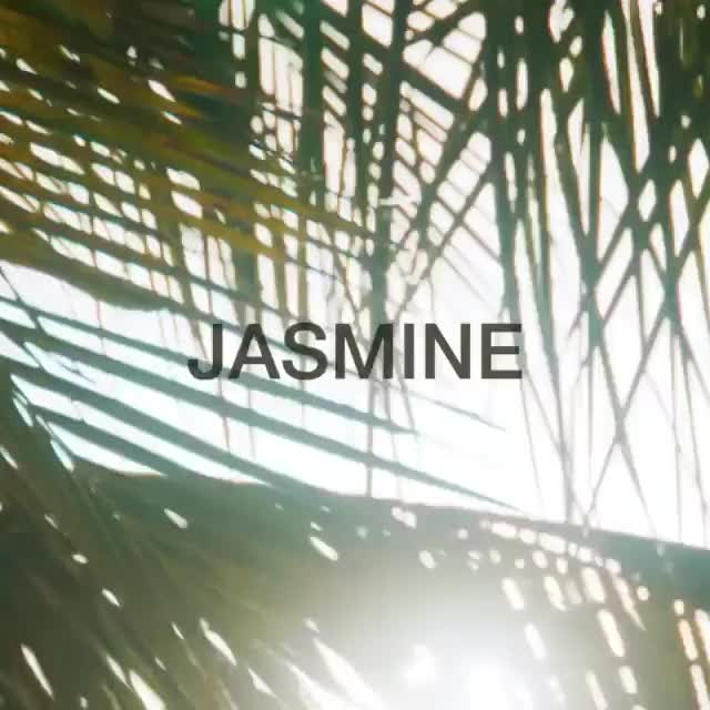 Jasmine Tookes VS Swim