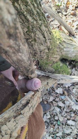 Jerkin my uncut cock between two branch until i cum (I'm in the woods, so public