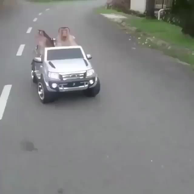 MoNkEyS dRiVe OFf AFteR A NAStY hIt aNd rUN
