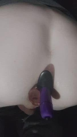 anal butt plug sissy clip