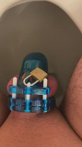 Chastity Piss Sissy clip