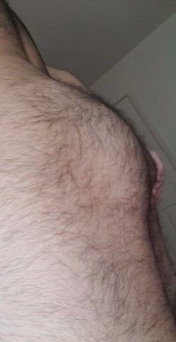 balls bear gay hairy ass hairy cock clip