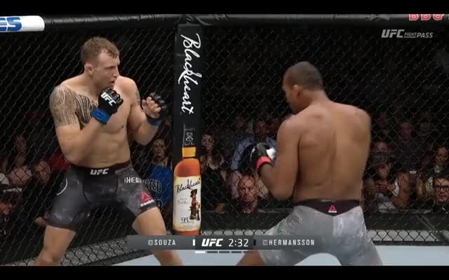 Hermansson |Jacare| SUB attempt