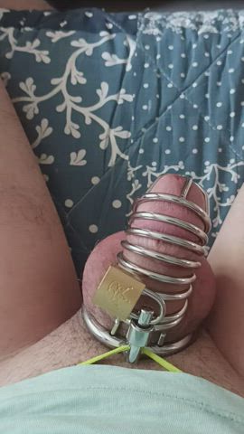 Chastity Little Dick Tiny clip