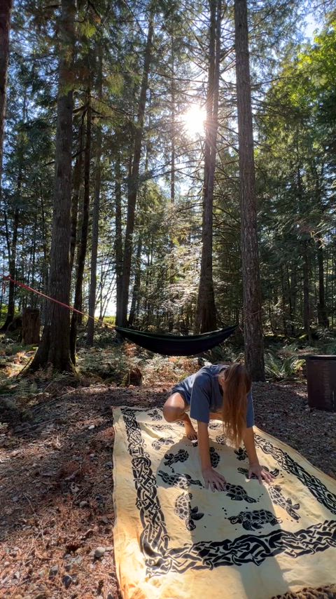 Would you rather be filming or watching from the hammock? 😍