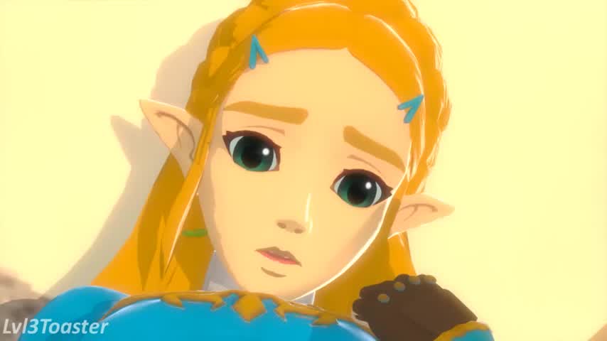Zelda(lvl3toaster/neroupi)[Legend of Zelda]