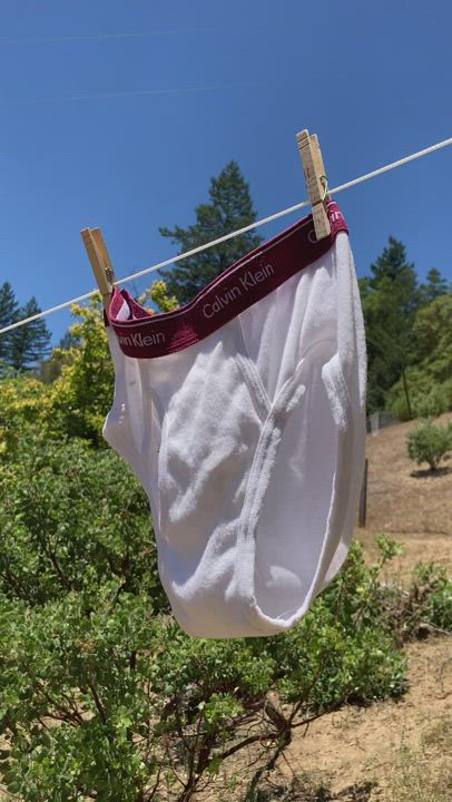 Laundry day… can you spot the obvious cum rags or the pairs with a hole ripped