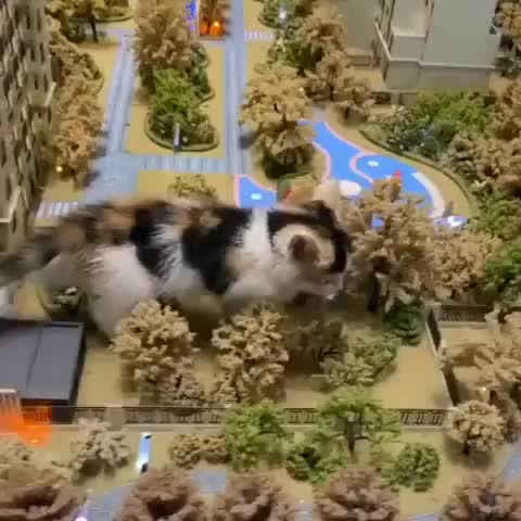 Catzilla