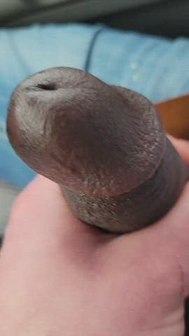 bbc blowjob cock cock worship gay handjob penis clip