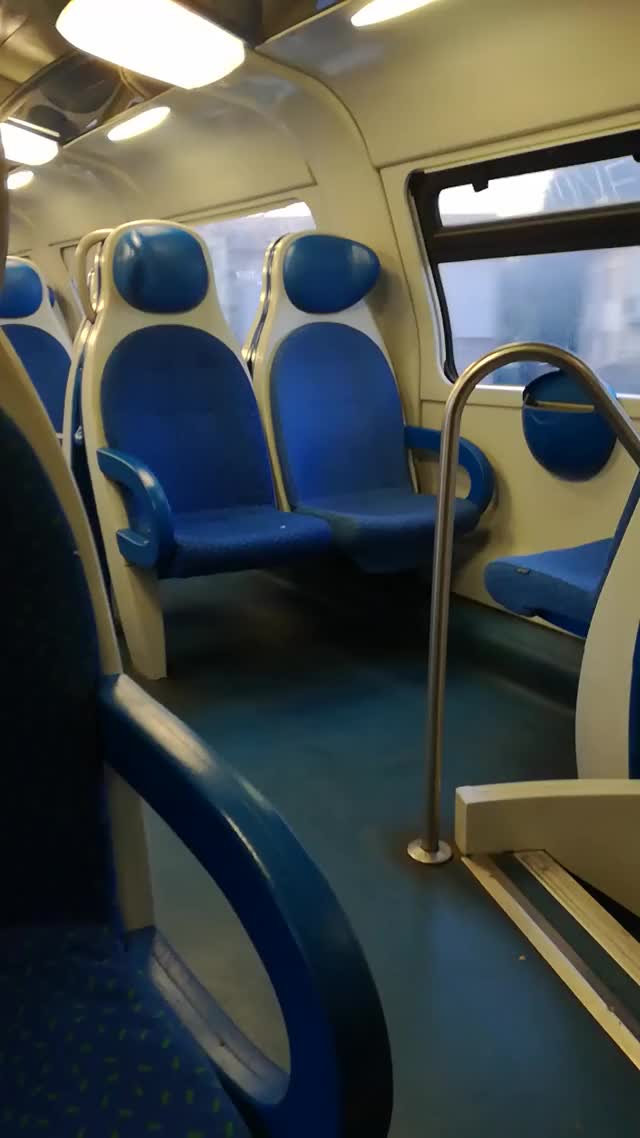 Public cumshot on a train (uncut cock)