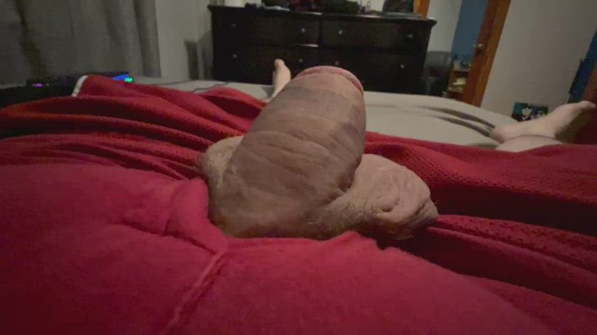 Cock Cock Worship Penis clip