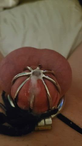 chastity cumshot small cock clip