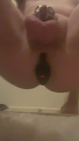 Anal Ass Asshole Chastity Chastity Belt Femdom Humiliation Slave Submissive Vibrator